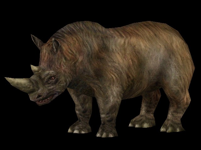 woolly rhinoceros