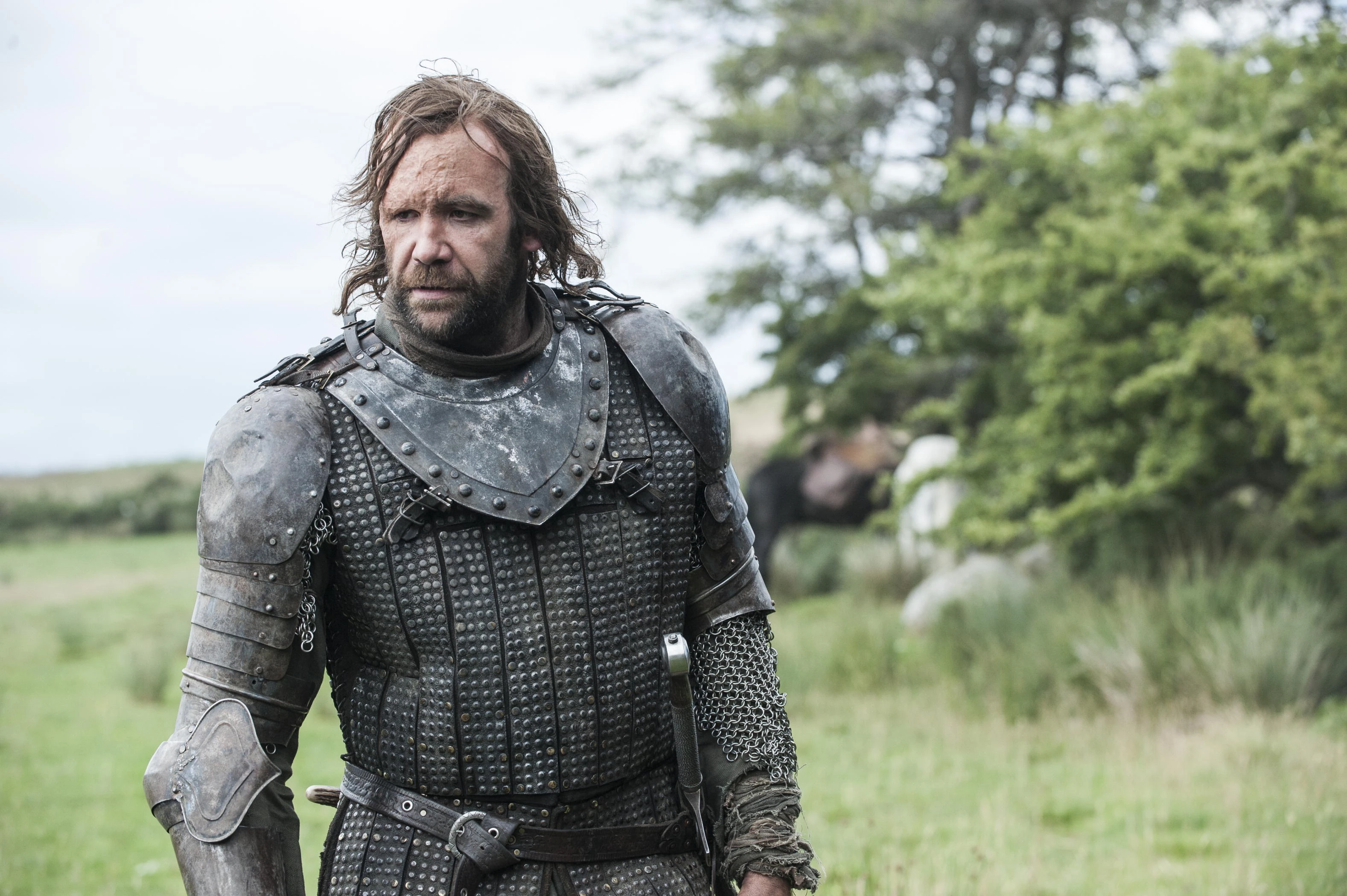 sandor clegane | game of thrones wiki | fandom