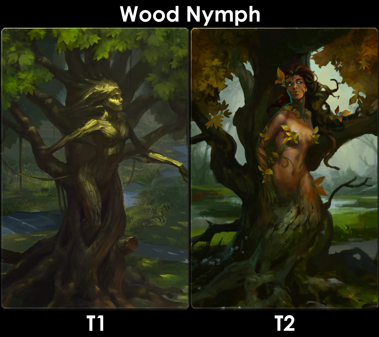 wood nymph