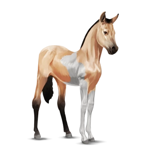 latest?cb=20121110194658