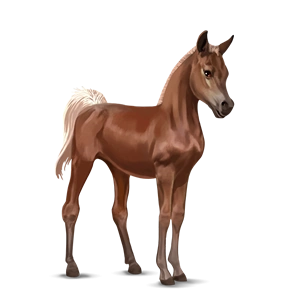 latest?cb=20121110030116