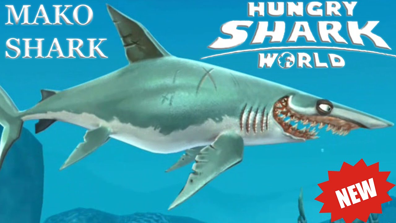 Mako shark,greenland shark mako shark