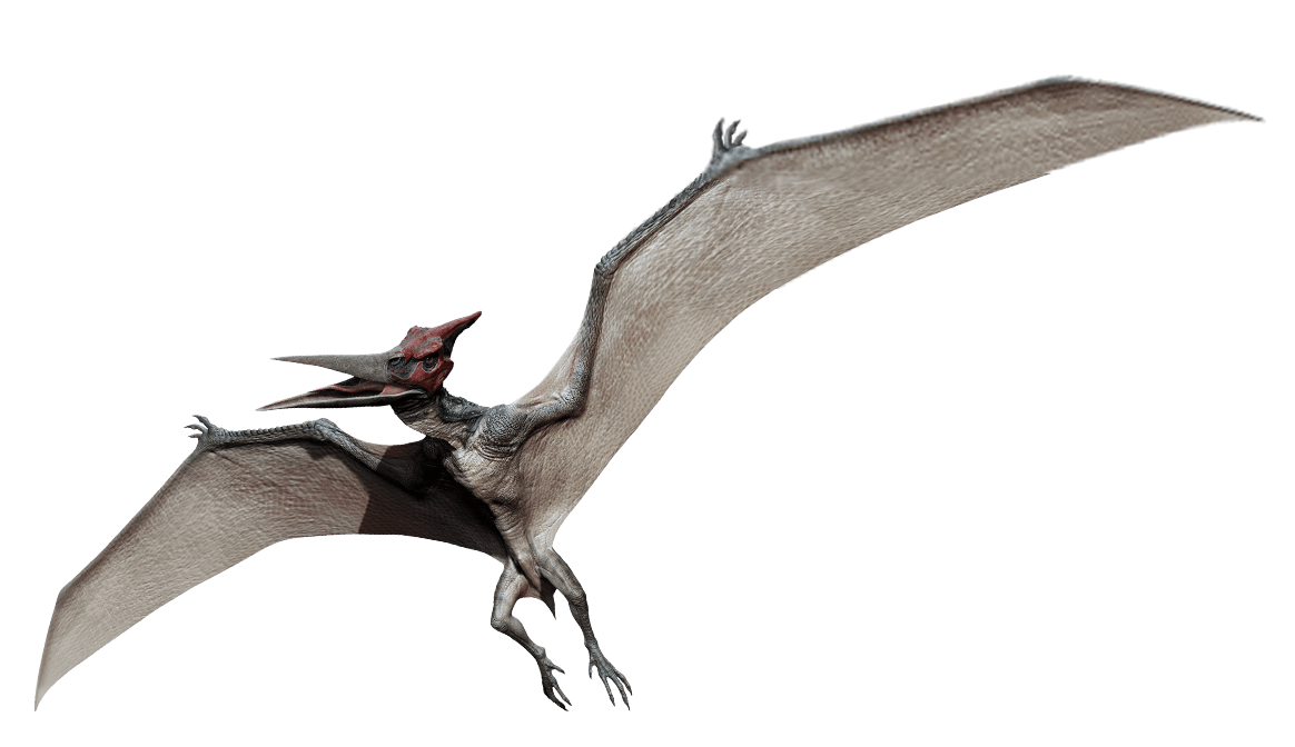 Image currently unavailable. Go to www.generator.jailhack.com and choose Jurassic Park Builder image, you will be redirect to Jurassic Park Builder Generator site.