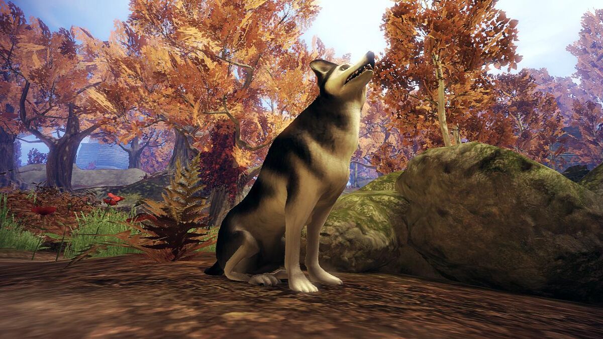 Fable II dog