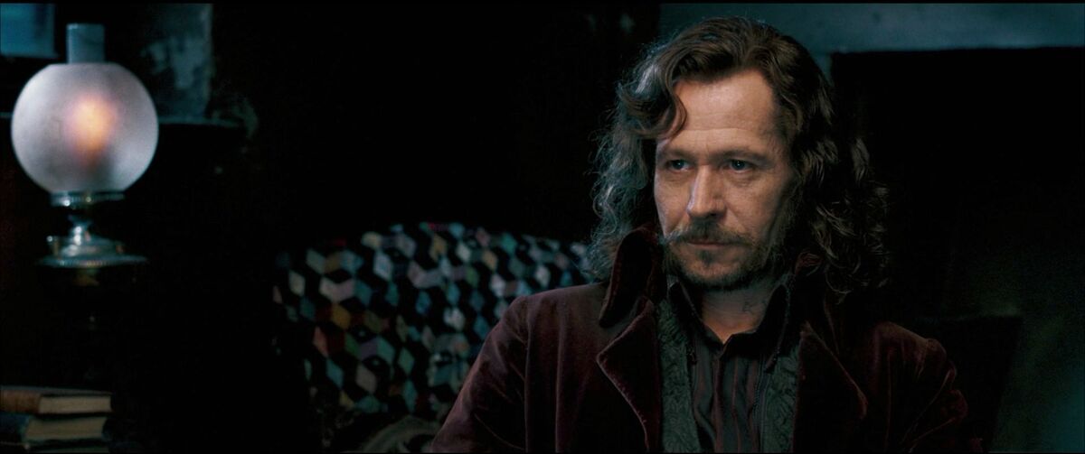 Sirius Black in Harry Potter and the Order of the Phoenix