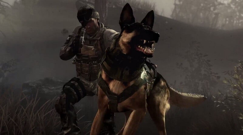 The Top 10 Dogs in Video Games - IGN