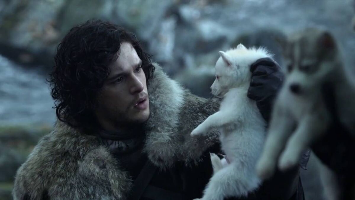 Game of Thrones Direwolf