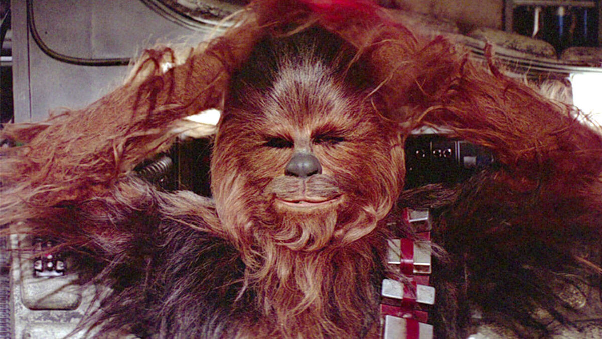 Chewbacca