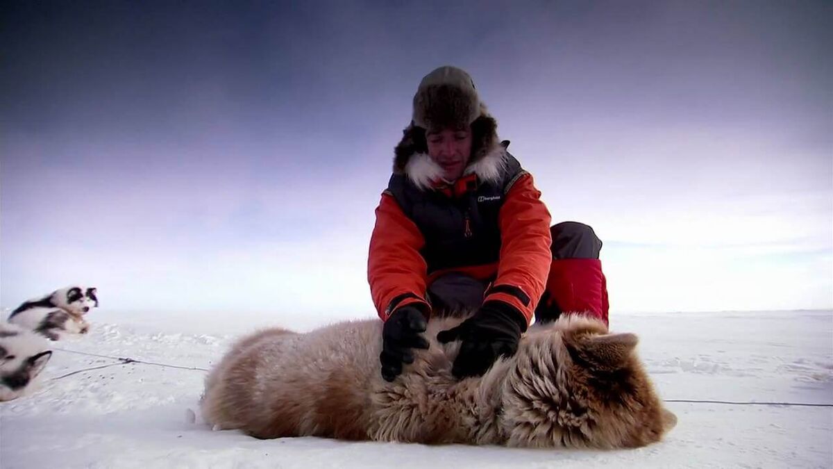 Top Gear Polar Special Richard Hammond