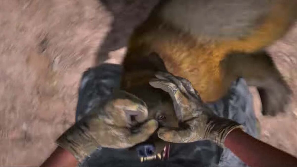 Far Cry 5 animal attack