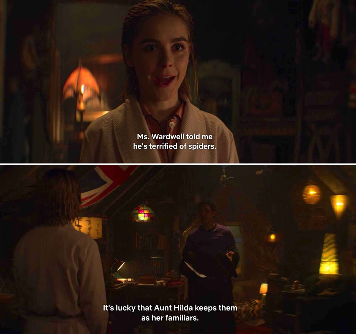 Spiders Chilling Adventures of Sabrina
