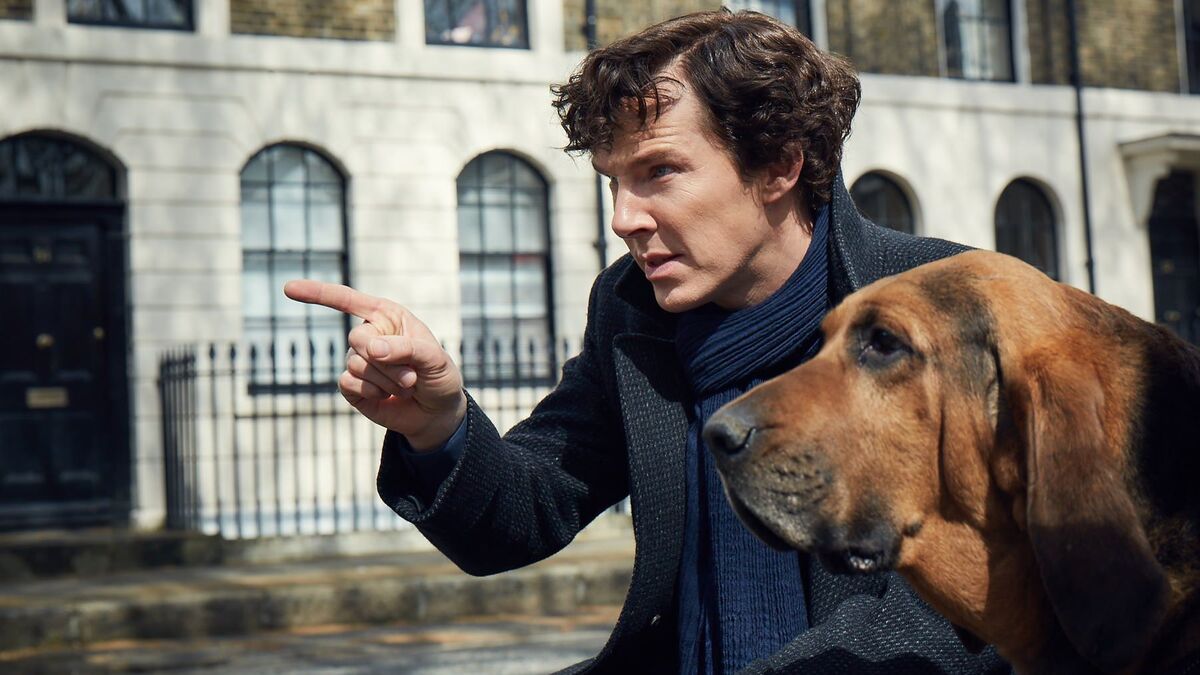Sherlock-Season-4-Sherlock-with-dog