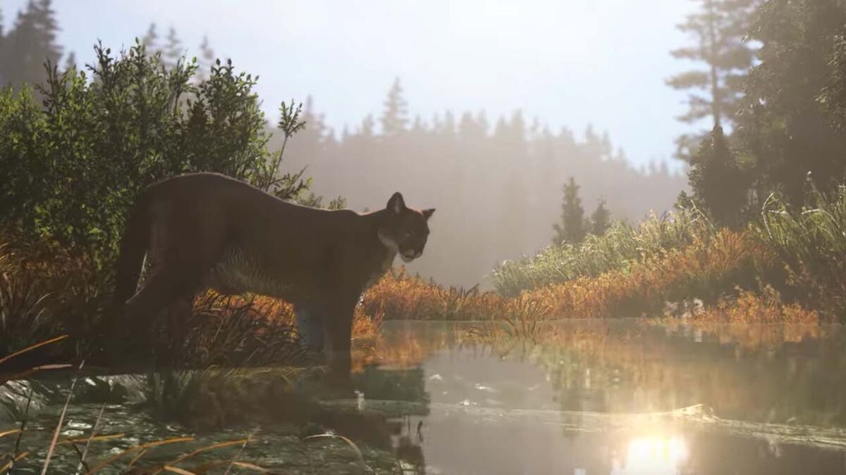 Far Cry 5 animals bobcat lynx