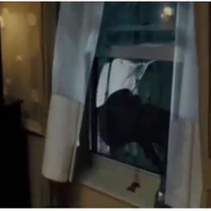 A Man That Committed Suicide By Jumping Off A Window 1408 Movie Room 1408 Wiki Fandom