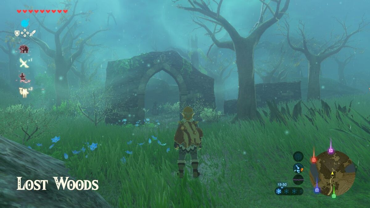 Breath of the Wild Lost Woods