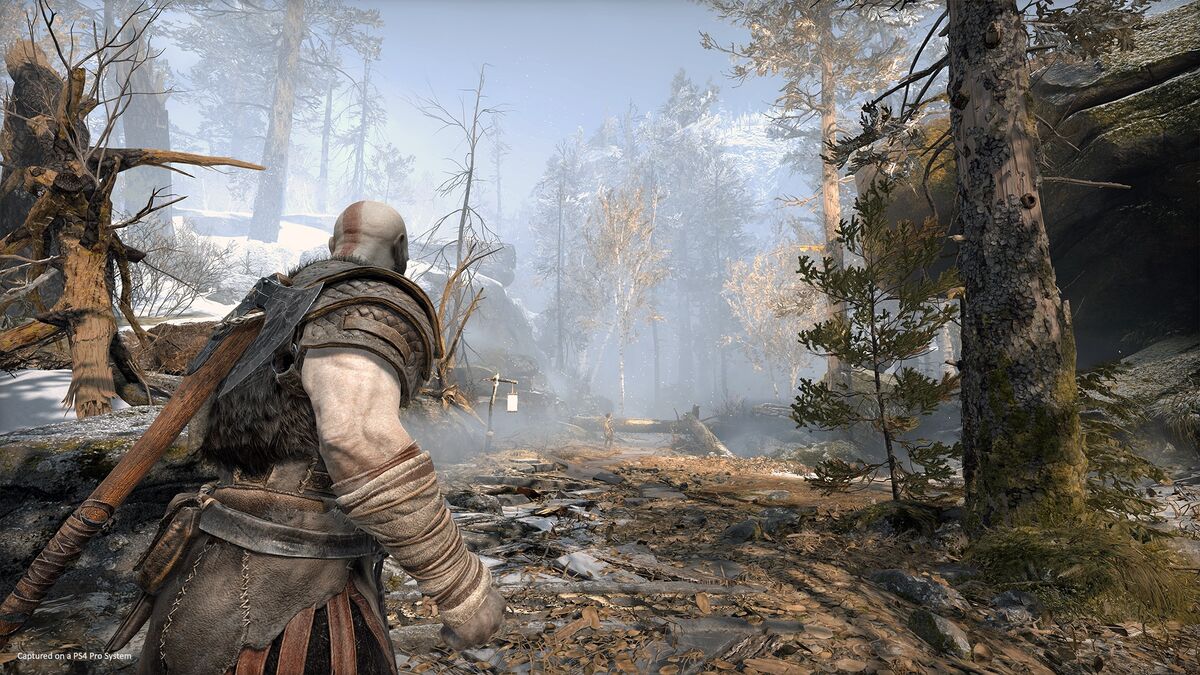 Kratos looks at a ruined forest