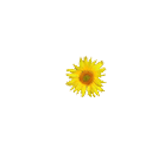Https Encrypted Tbn0 Gstatic Com Images Q Tbn 3aand9gcs7stpfmkdhgwgiv88usa37uuqs8bqvjyvhfq Usqp Cau