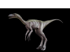 Troodon145