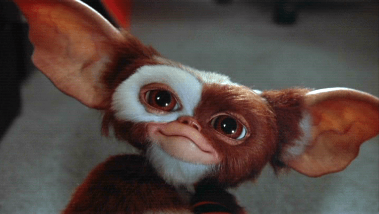 Gremlins-Gizmo