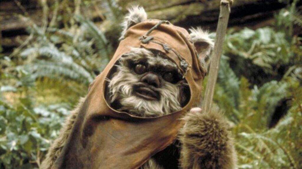 Wicket-Return-of-the-Jedi