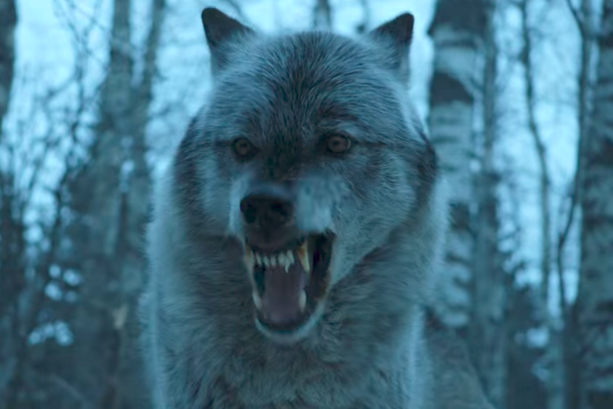 Arya's Direwolf Nymeria bares her teeth in Season 7