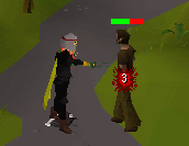 Npc taking damage
