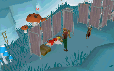 Curing Fairy Queen