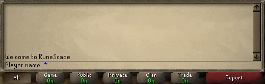 Chat Interface