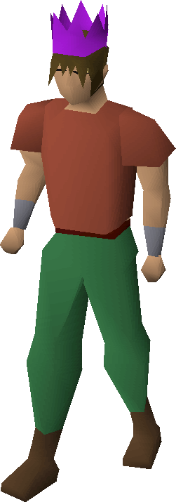 Purple Partyhat Old School Runescape Wiki Fandom Ed By Wikia Purple Partyhat Detailed Equipped Chathead