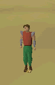 Desert amulet teleport