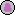 Plateskirt shop icon
