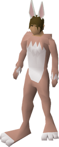 Bunny outfit equipped