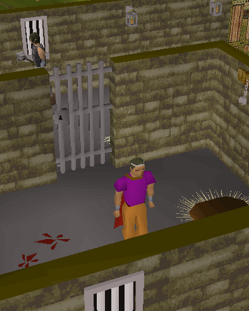 Old School Runescape Optimal Quest Guide Osrs Runecrafting Guide