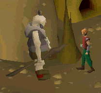 Killing ogre shaman