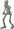 Skeleton