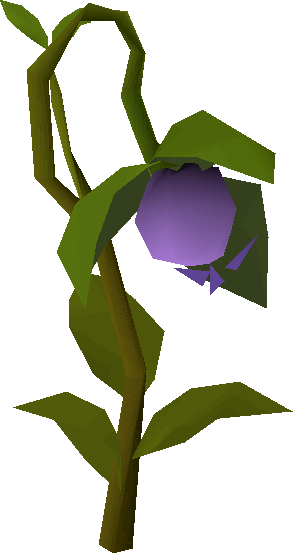 runescape strange plant