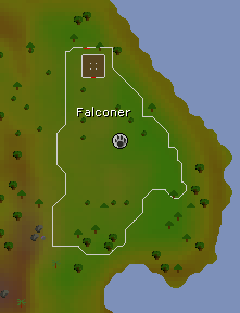 Falconer map