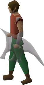 Spirit shield equipped