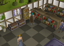Elemental Workshop II - beaten book location