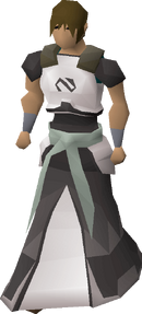Elite void set equipped