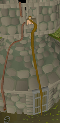 Rupert the Beard in tower