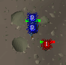Multiple rock crabs