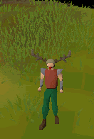 Reindeer hat emote