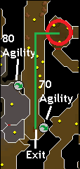 Druidic Ritual - Taverley Dungeon