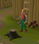Split log