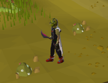 Tai Bwo Wannai gem rocks