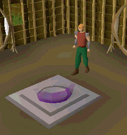 Directing portal