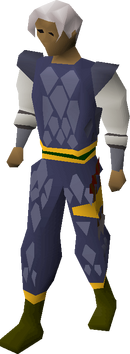 Blue d'hide (g) set equipped