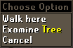 Tree right click