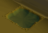BA healer spring